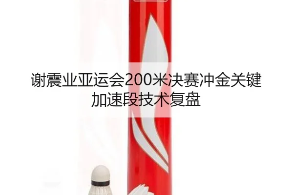 谢震业亚运会200米决赛冲金关键加速段技术复盘（migusprot）